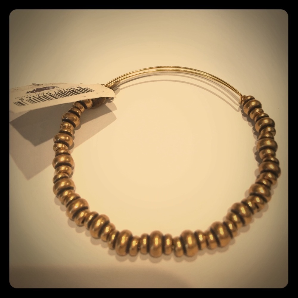 Alex and Ani filler bracelet